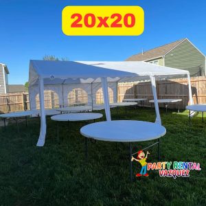20x20 (3)