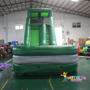 Green Big Water Slide Rental in Columbus, IN – Fun Backyard Summer Party Slide